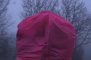 Nous ou Le paradoxe du hérisson