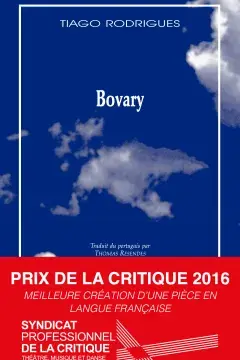 Couverture Bovary