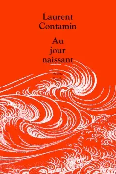 Une vague blanche sur fond rouge