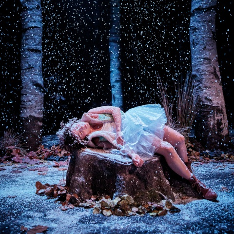 Neige ; Pauline Bureau
