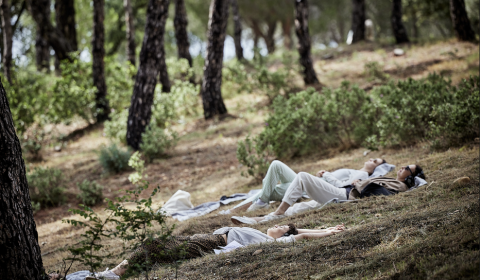 Paysages Partagés, Caroline Barneaud et Stefan Kaegi, 2023