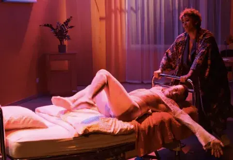Mitosis : an LSD Opera