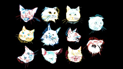 Les Chats