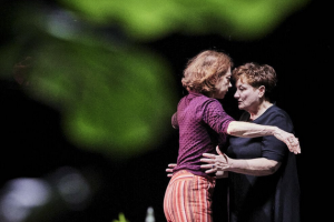 Image du spectacle