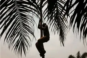 © Opération rumba