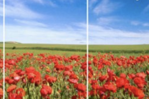 Image du spectacle