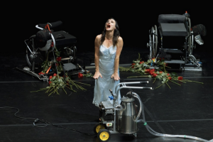 Image du spectacle