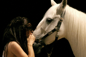 Image du spectacle