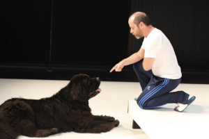Image du spectacle