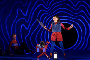 Image du spectacle