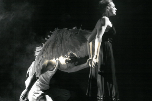 Image du spectacle