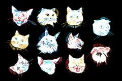 Les Chats